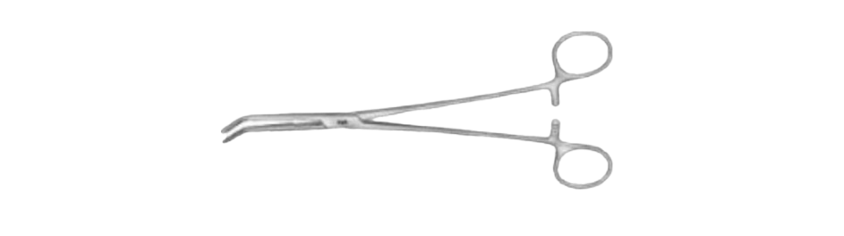 Lahey Forceps | BJ060R