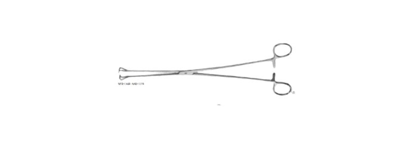 Babcock Tissue Holding Forceps | MB136R