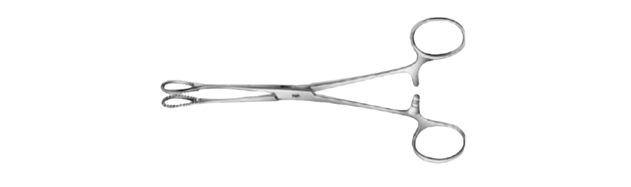 Foerster- Ballenger Sponge Forceps | BF112R