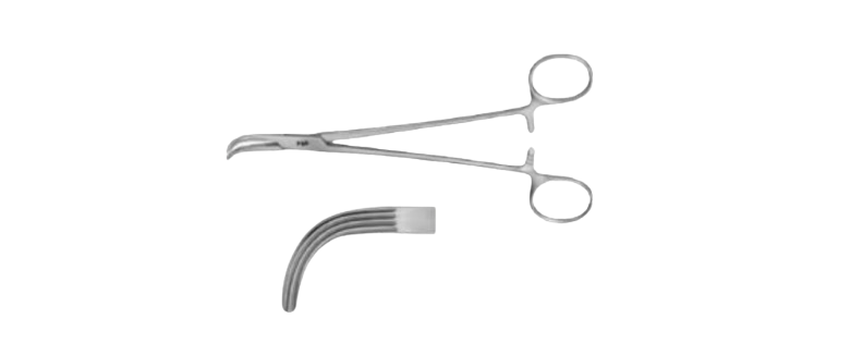 Lower Gall Duct Forceps | EB001R
