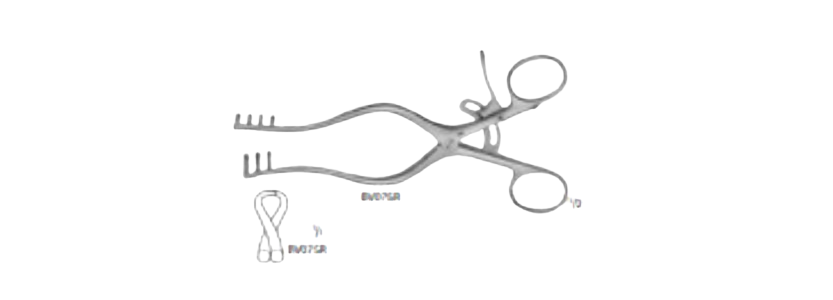 Weitlaner Retractor | BV073R