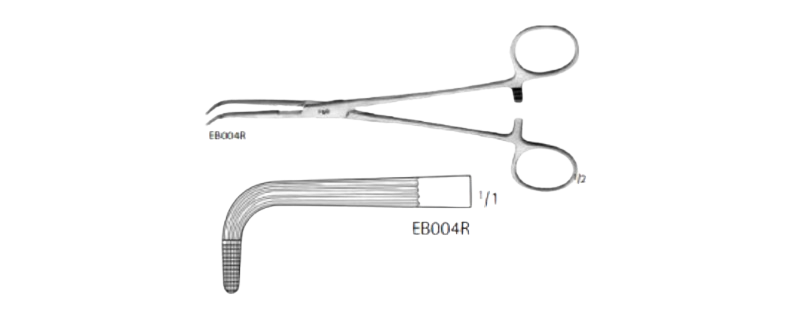 Lahey Gall Duct Forceps | EB004R