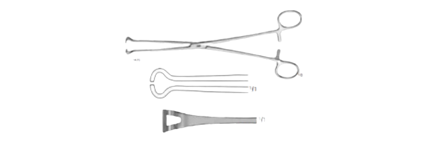 Babcock Atraumatic Forceps | EA050R