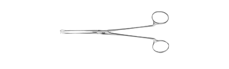 Blake Gall Stone Forceps | EB220R