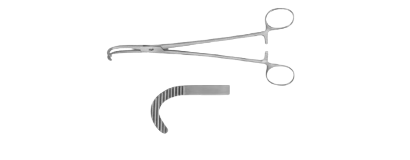 Desjardins Gall Duct Forceps | EB008R