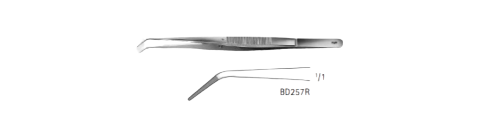 Delicate Forceps, Angled | BD257R