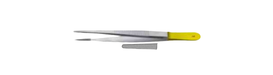 TC Semken Forceps | US111