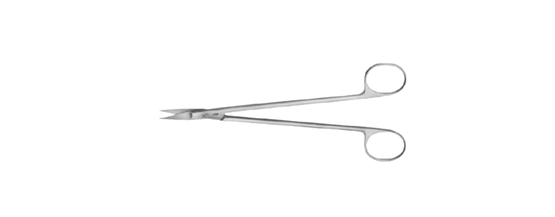 Kelly Scissors | BC160R