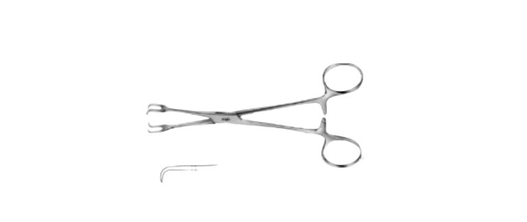 Lahey Forceps | BF309R