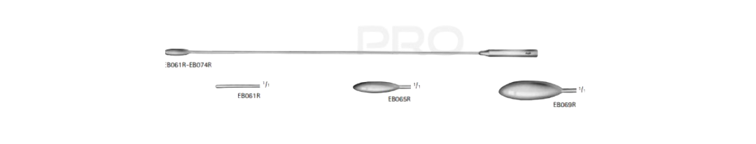 Bakes Bile- Duct Dilator | EB061R