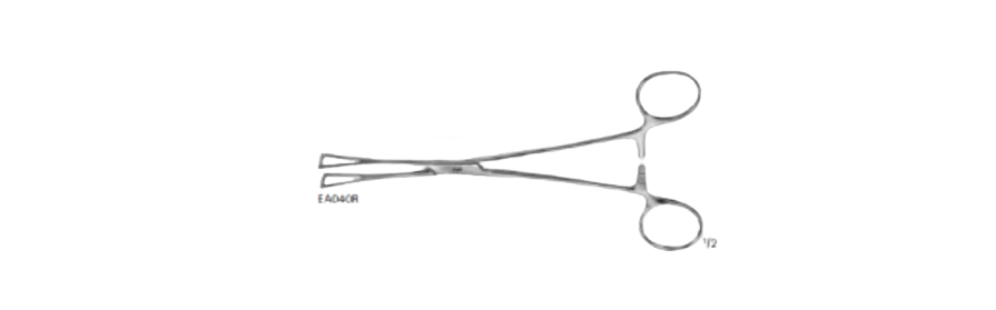 Collin Intestinal Forceps | EA039R
