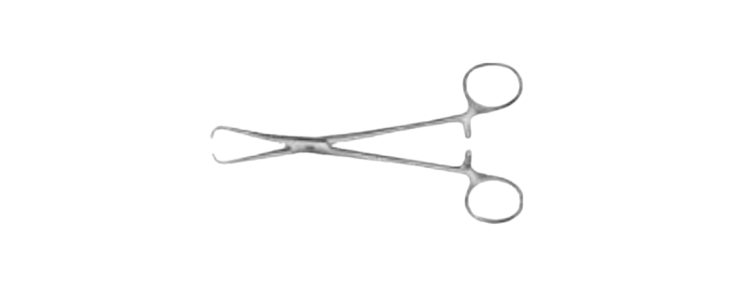 Bernhand Towel clamp | BF426R