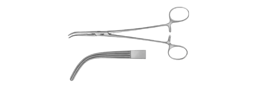 lahey (Sweet) Gall Duct Forceps | EB003R