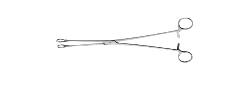 Foerster Sponge Forceps | MB098R