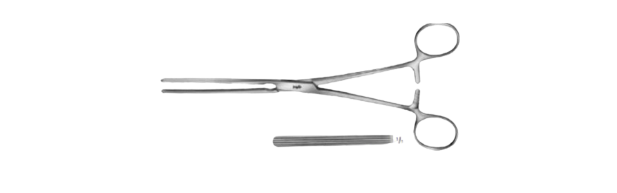 Kocher Intestinal Forceps, Elastic Blades | EA116R