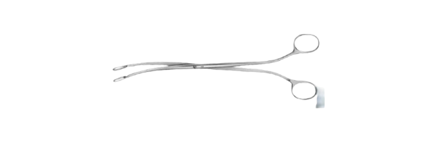 Desjardins Gall Stone Forceps | EB231R