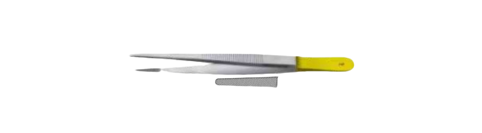 TC Standard Forceps | BD164R