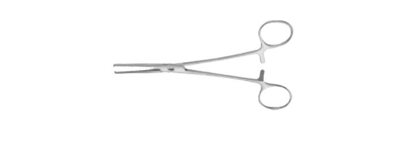 Jacobson Mosquitos Forceps | BH106R