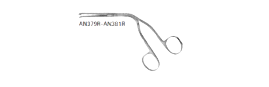 Magill Forceps | AN379R