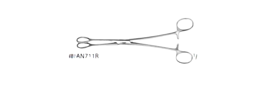 Heywood-smith forceps | AN710R