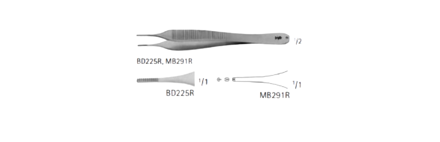 Hudson Forceps | BD225R