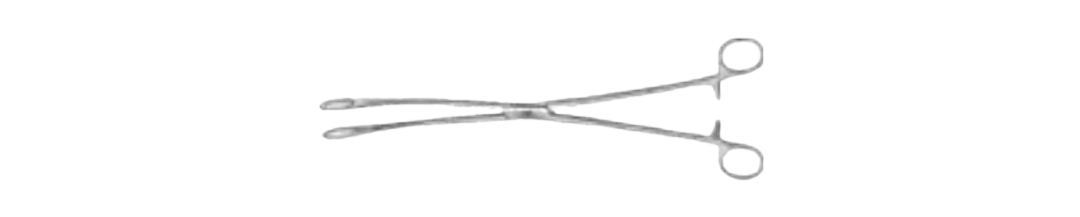 Kelly Sponge Forceps | BF135R