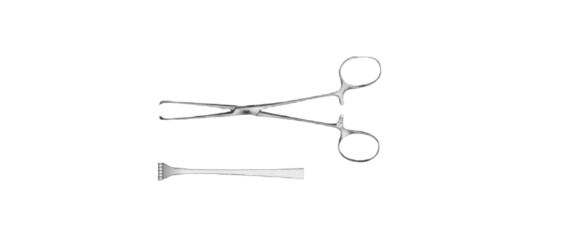 Boys- ALLIS Forceps | EA010R