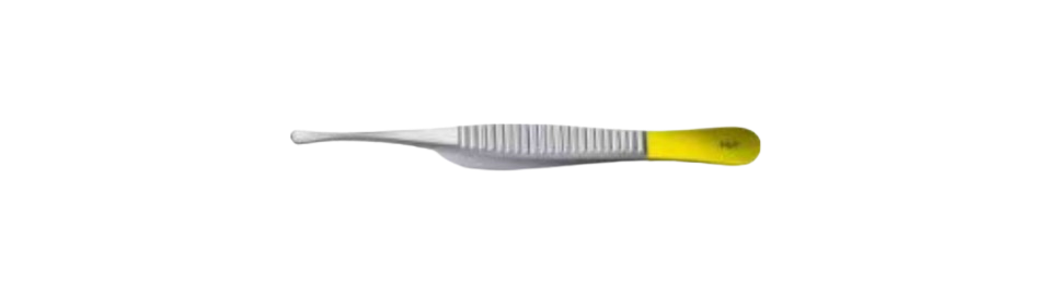 TC Wangensteen Forceps | BD171R