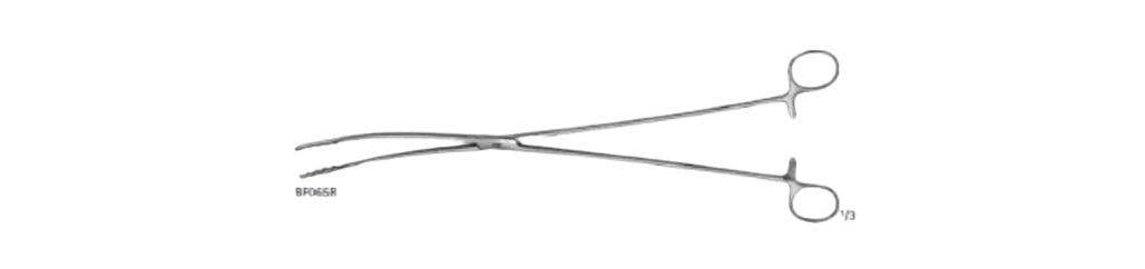 Rampley Sponge Forceps | BF116R